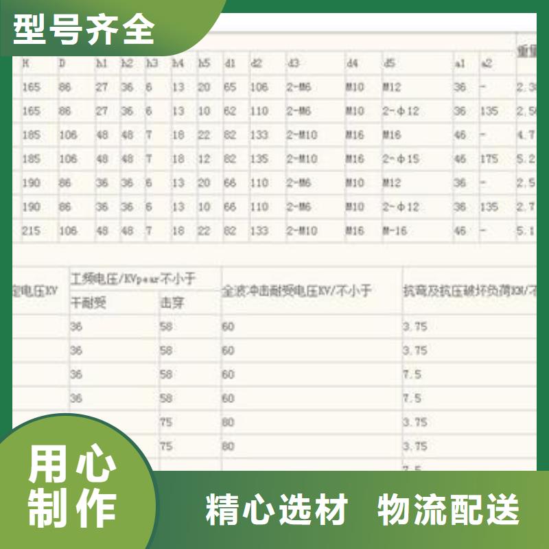 FXBW4-10/70棒型绝缘子