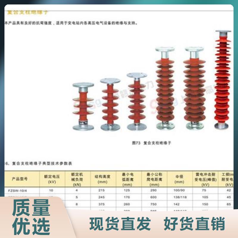 ZSW2-220/850绝缘子樊高电气