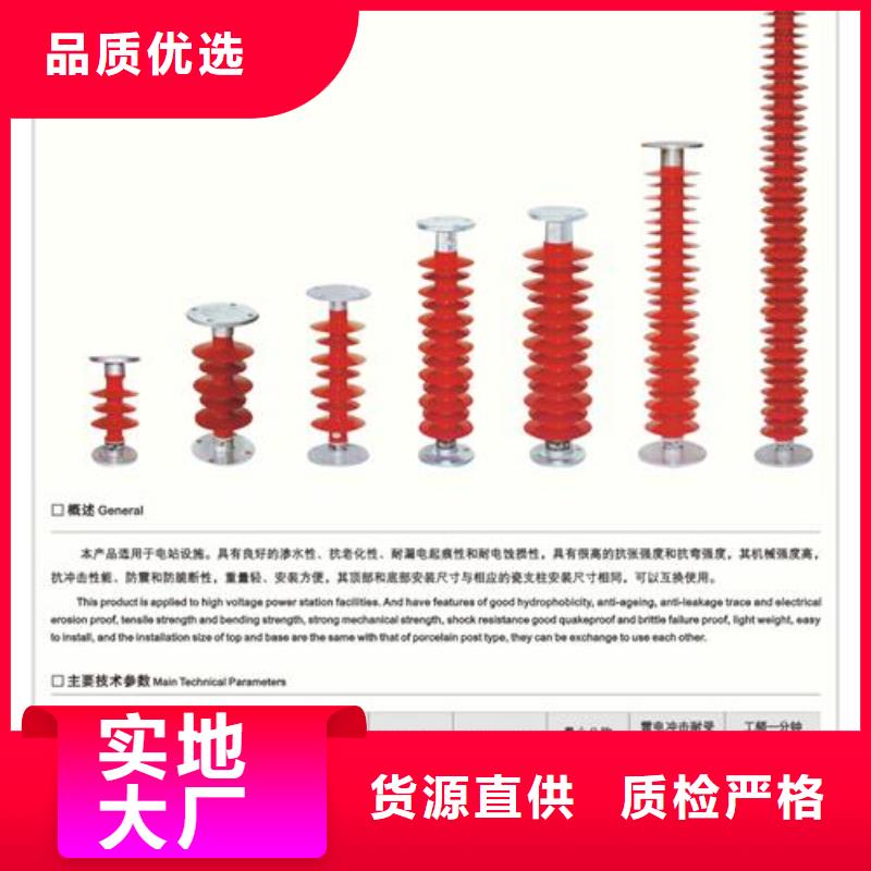 ZPD-10高压支柱绝缘子