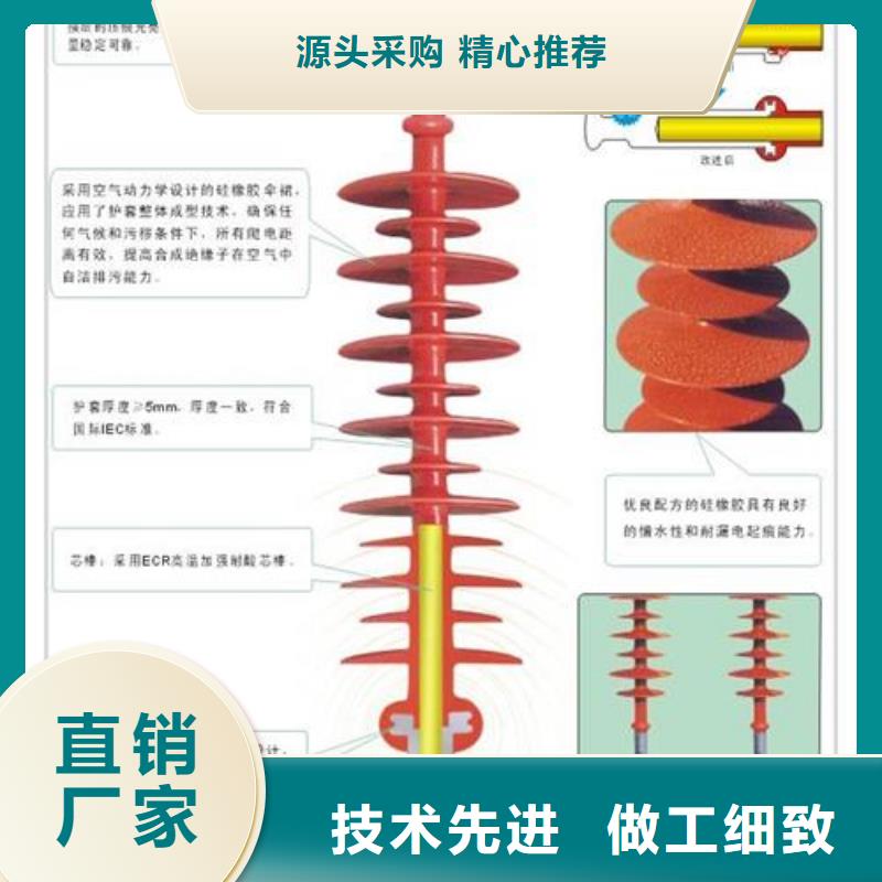 FZSW-24/8L复合绝缘子