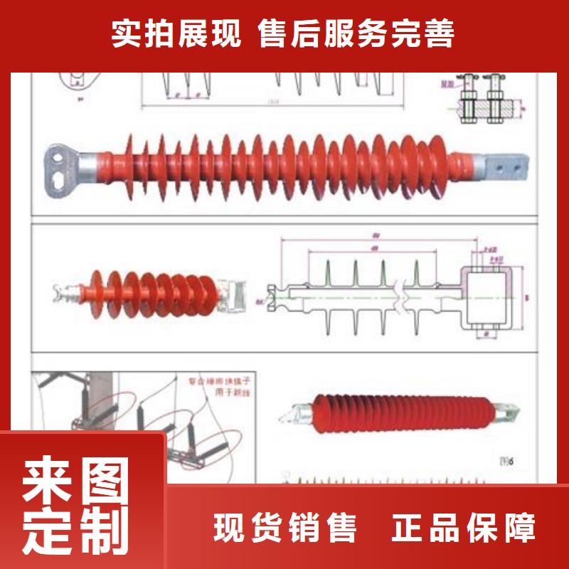 ZSW2-10/10陶瓷支柱绝缘子