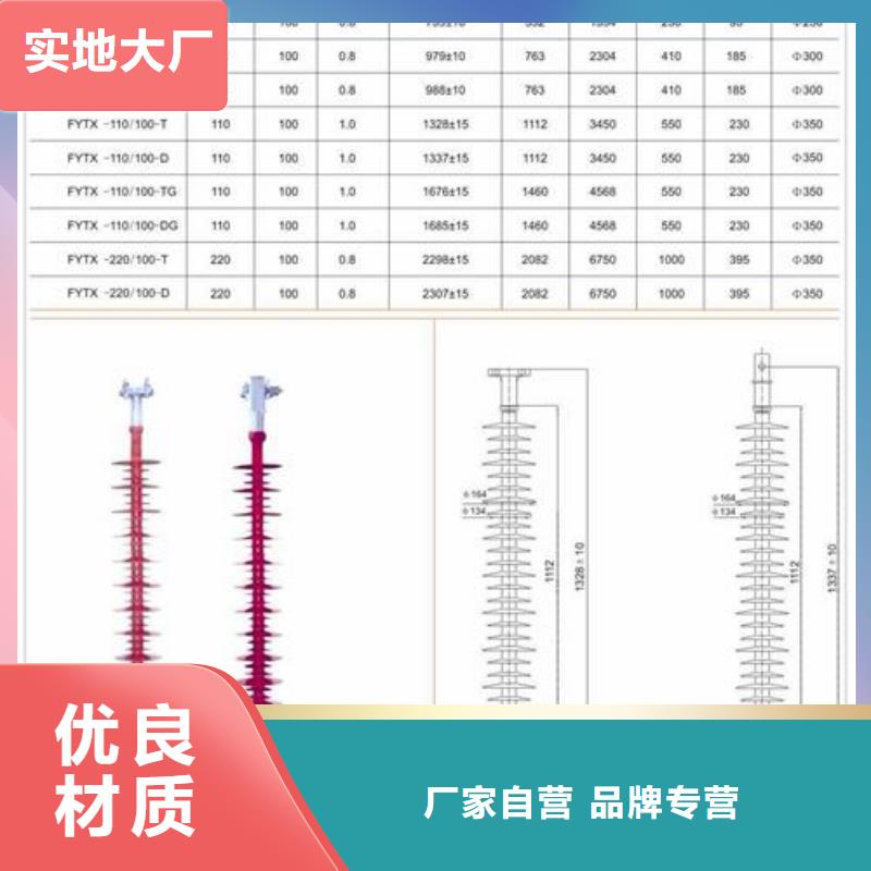 ZSW2-20/8陶瓷支柱绝缘子