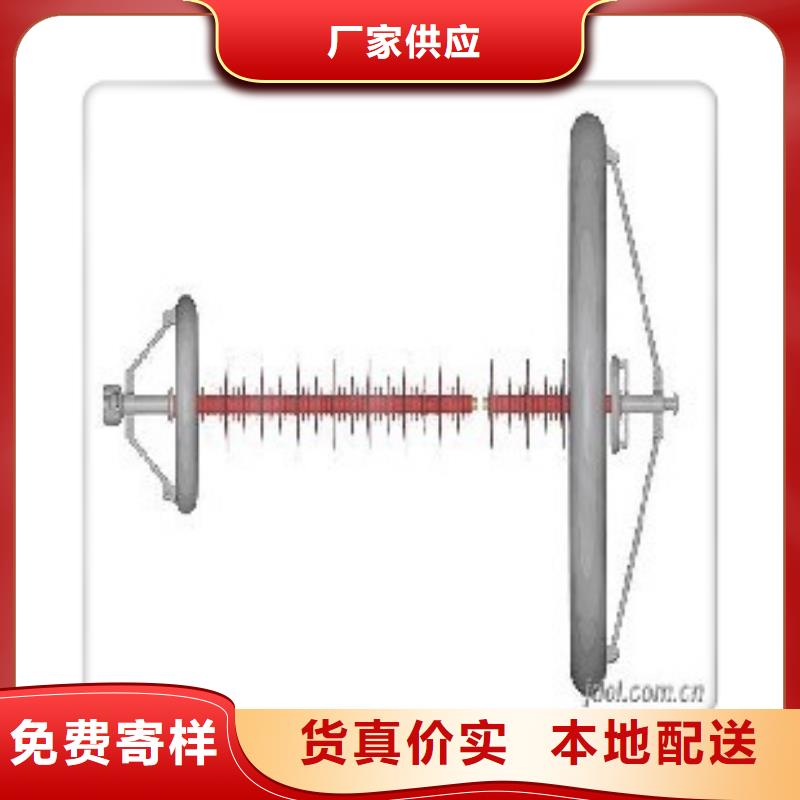 FXBW3-35/100硅胶绝缘子