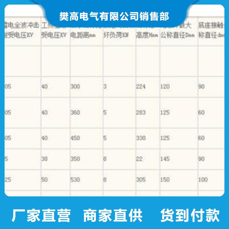 ZJ-10KV/85*145高压绝缘子