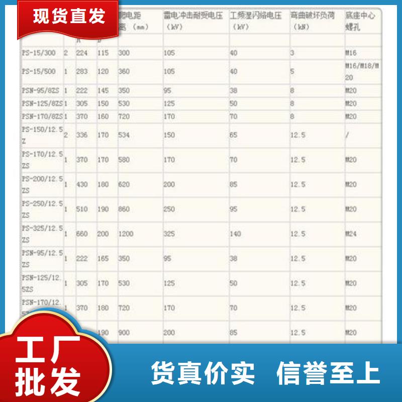 ZPD-10高压支柱绝缘子