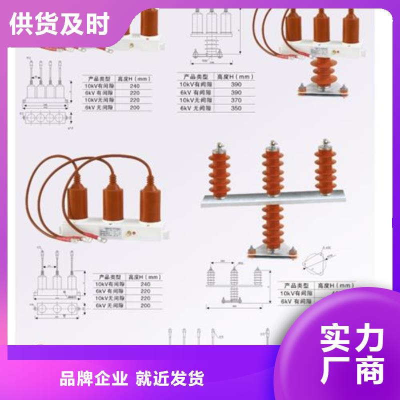 HFB-C-7.6F/131组合式避雷器