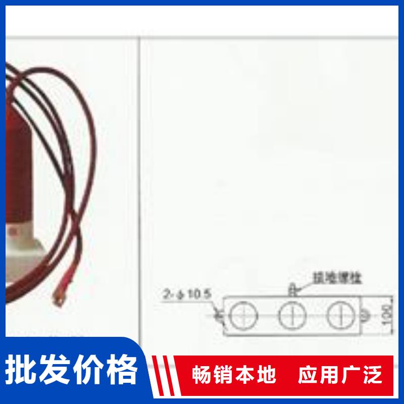 TBP-A-42F/310间隙过电压保护器