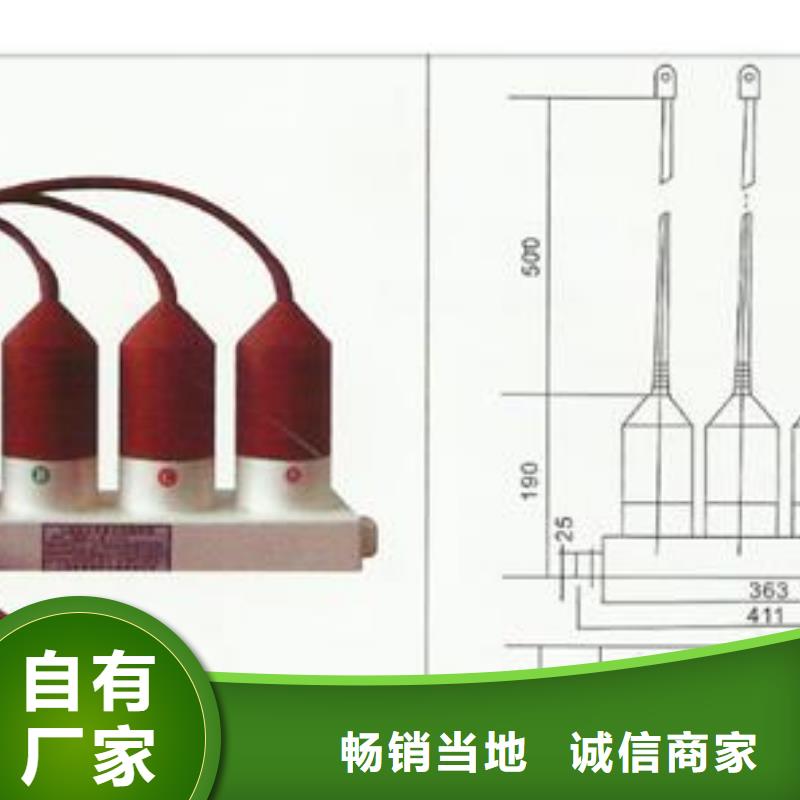 TBP-B-42F/310三相组合式避雷器