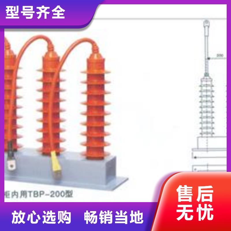 TBP-A-12.7/85F避雷器用保护器