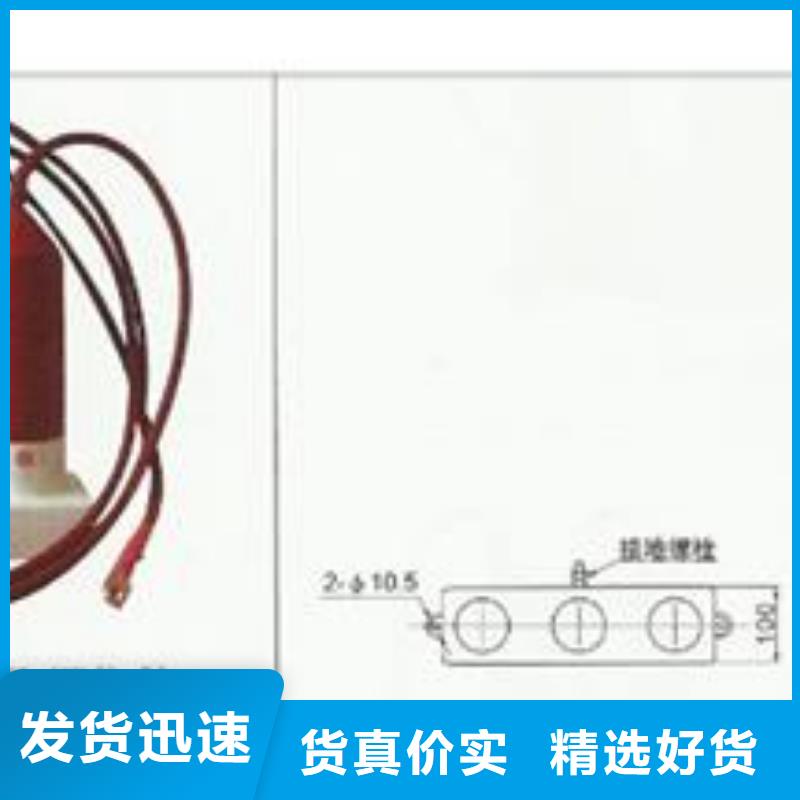 过电压保护器【真空断路器】可定制有保障