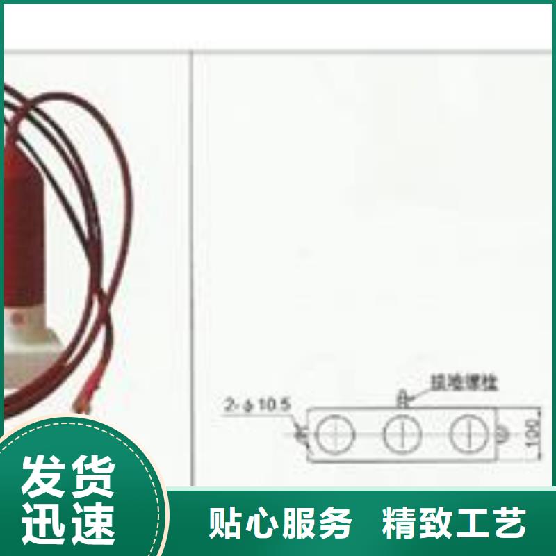 BSTG-B-12.7/131过电压保护器