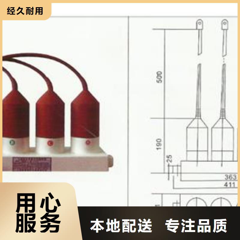 TBP-A-42F/310间隙过电压保护器