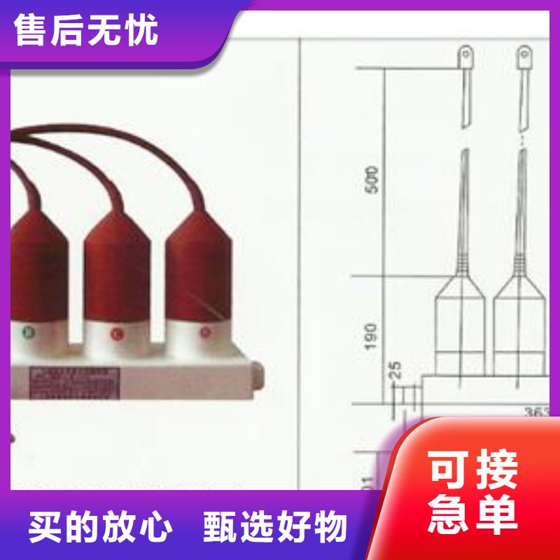 BSTG-C-17过电压保护器