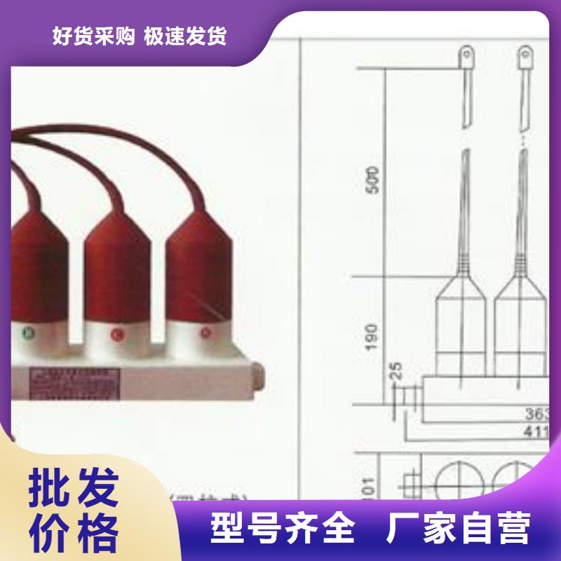 YH2.5WD-8/25x8/19组合式避雷器