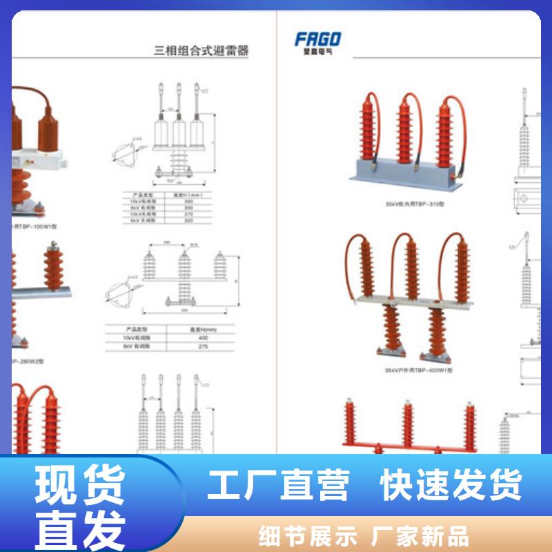 TBP-B-42F/310过电压保护器