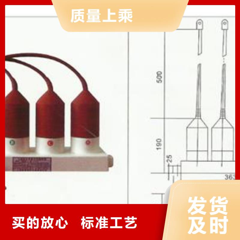 YH5WR-51/150X51/134过电压保护器樊高电气