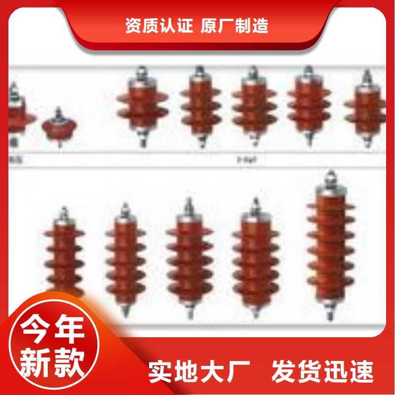 TBP-A-42F/310间隙过电压保护器