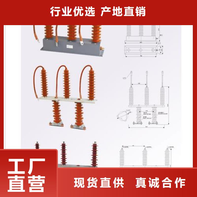 TBP-C-12.7/131组合式避雷器樊高电气