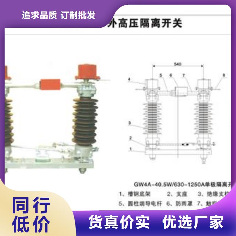 GWR1-0.5/200低压隔离开关