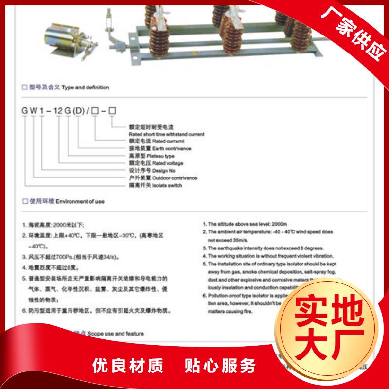 GWR1-0.5/200低压隔离开关