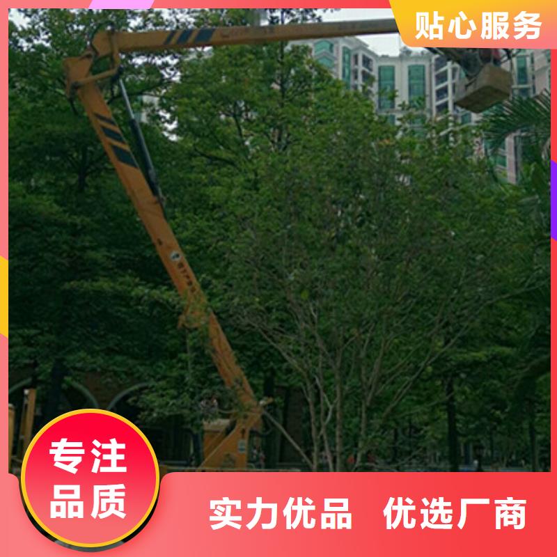 (中桥建)得荣|石渠|成都|内江|德阳|资阳|广安|眉山|泸州升降平台租赁优良工艺生产商
