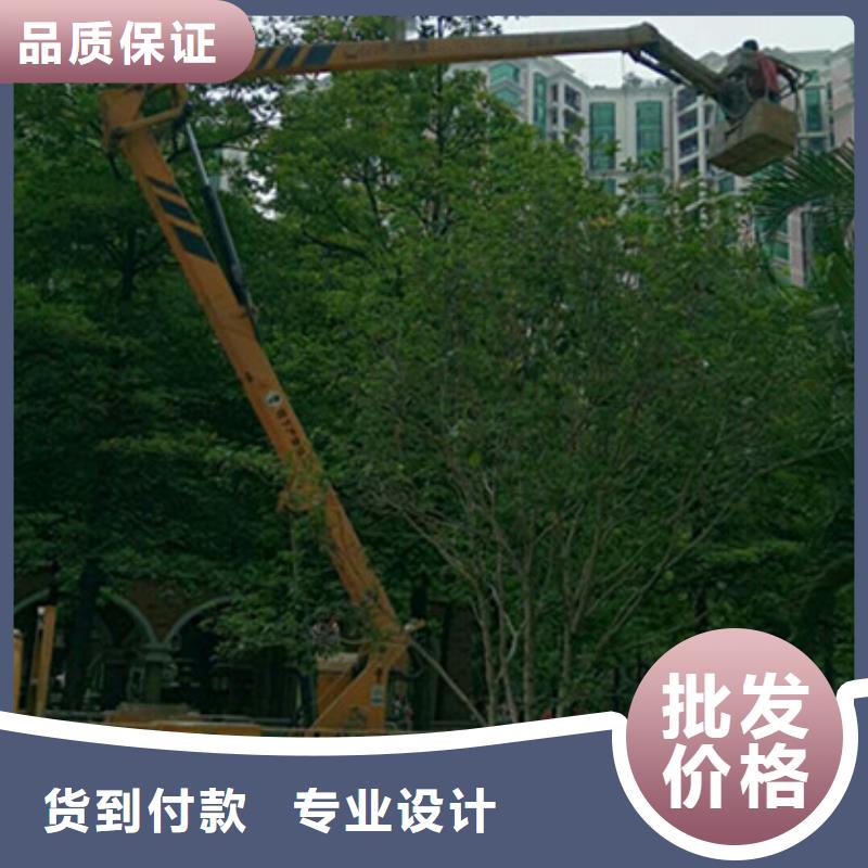 高空吊篮车租赁产地批发-中桥建设备(合作市分公司)