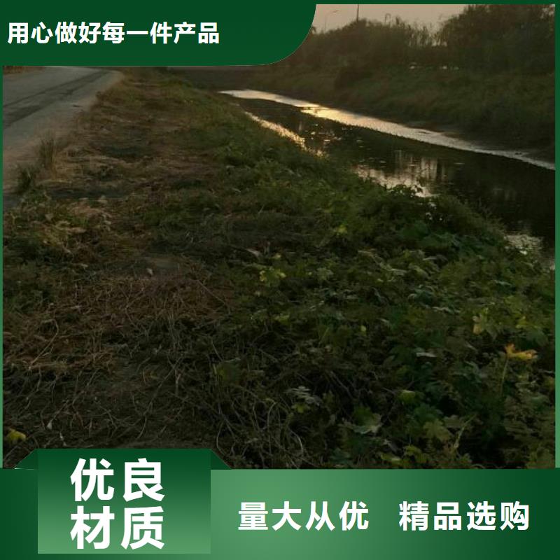 固宝康【 污泥处理生物酶土壤固化剂严选用料】-业务覆盖区域|海安|海门|泰州|宿迁|扬州|徐州|镇江|南京-商佳通