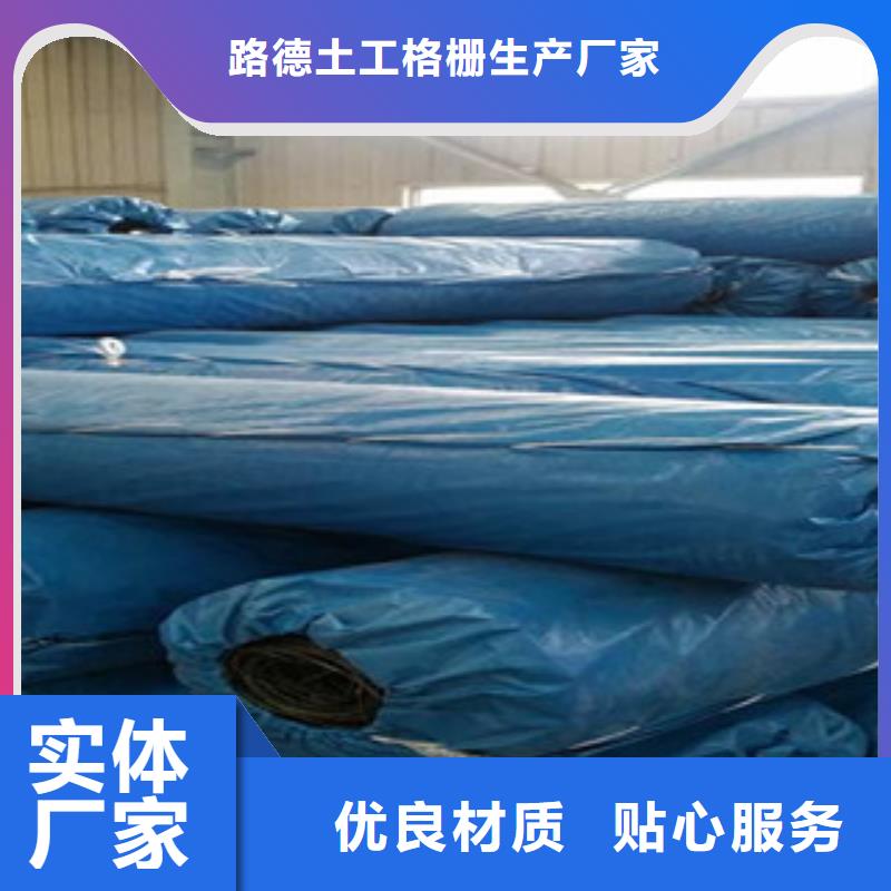 【双向塑料格栅玻纤土工格栅高品质现货销售】