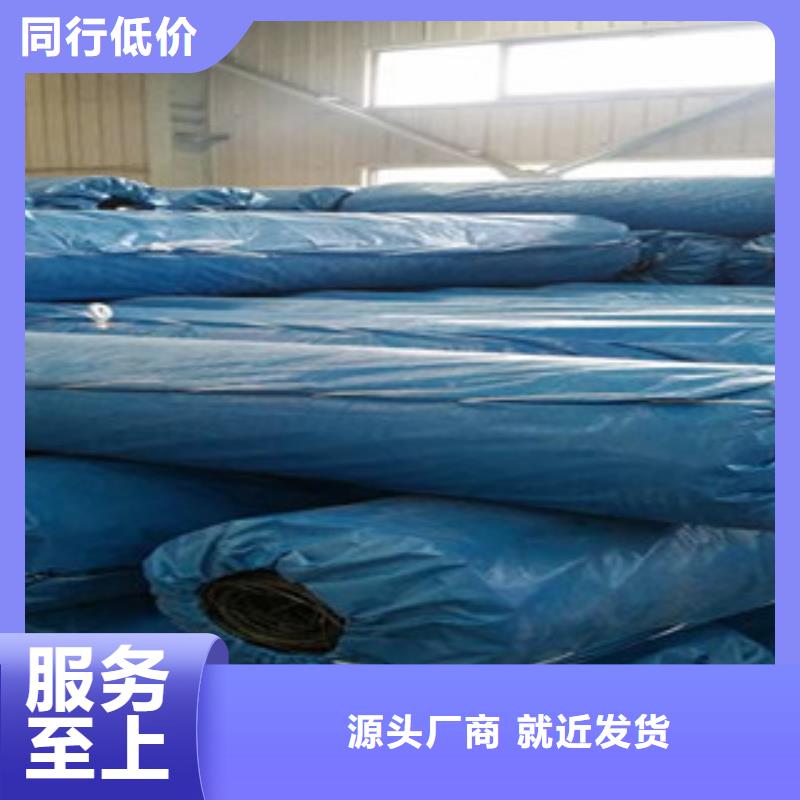 双向塑料格栅 玻纤土工格栅用心做产品