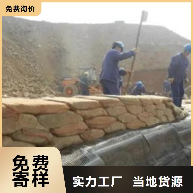 单向塑料格栅膨润土防水毯供应商