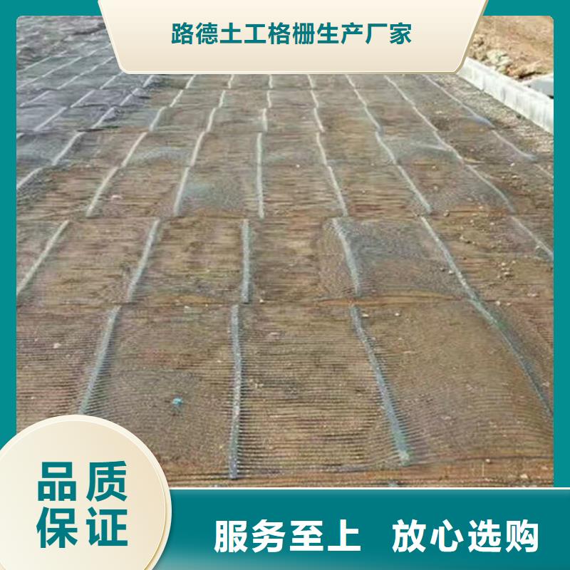 单向塑料格栅膨润土防水毯供应商