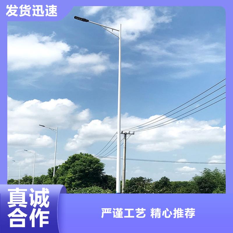 太阳能市电太阳能路灯厂家质量检测