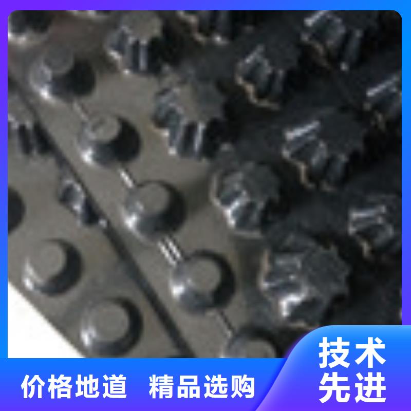 【 零商网防水板服务至上】|-泰驰排水板生产厂家(安阳市分公司)
