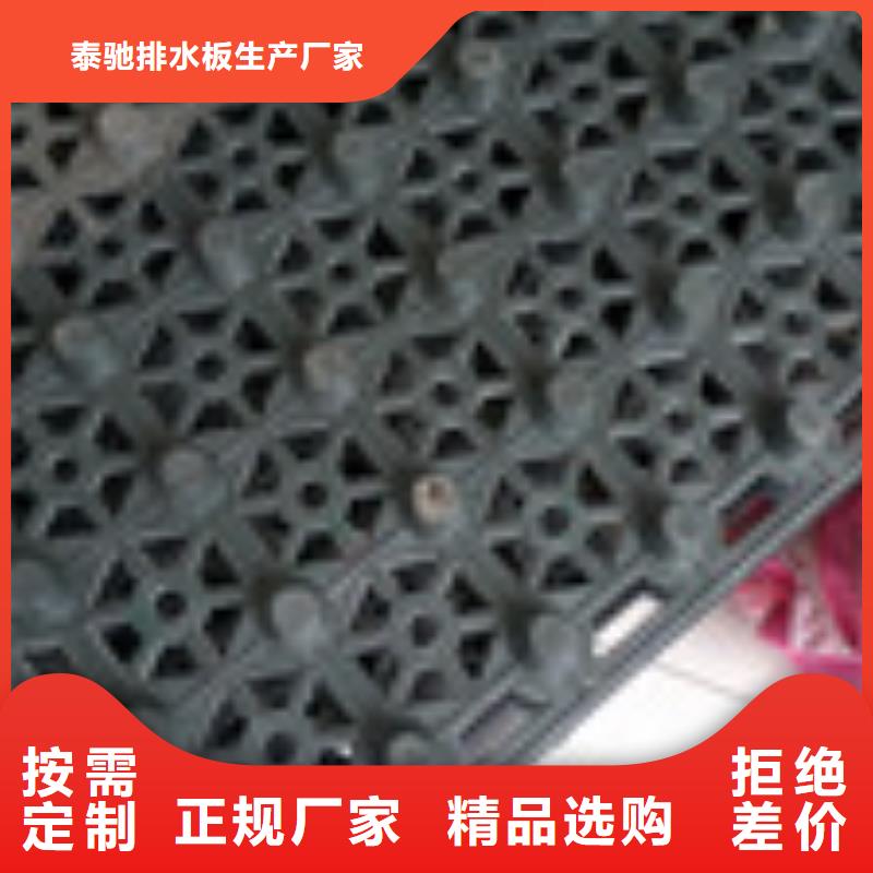 【 零商网防水板服务至上】|-泰驰排水板生产厂家(安阳市分公司)