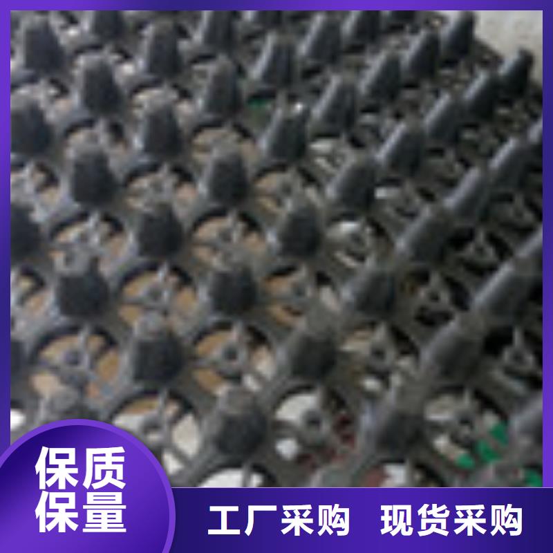 零商网【塑料盲沟管】拒绝中间商-泰驰排水板生产厂家(绍兴市分公司)-商佳通