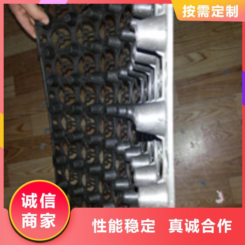 泰驰【 012排水板种类多质量好】sqyangzi.com