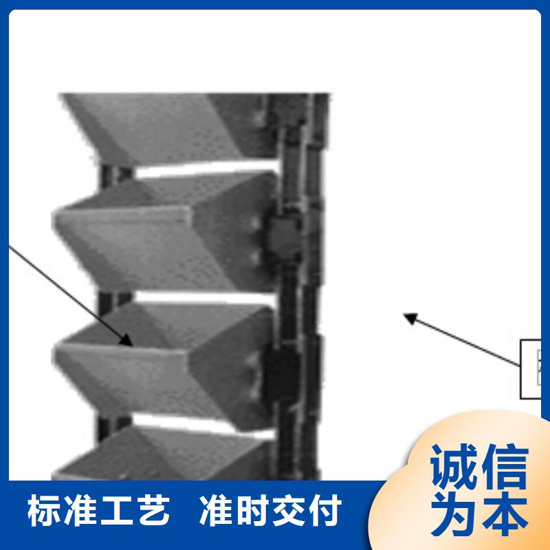 提升机斗式提升机买的放心安兴用的舒心