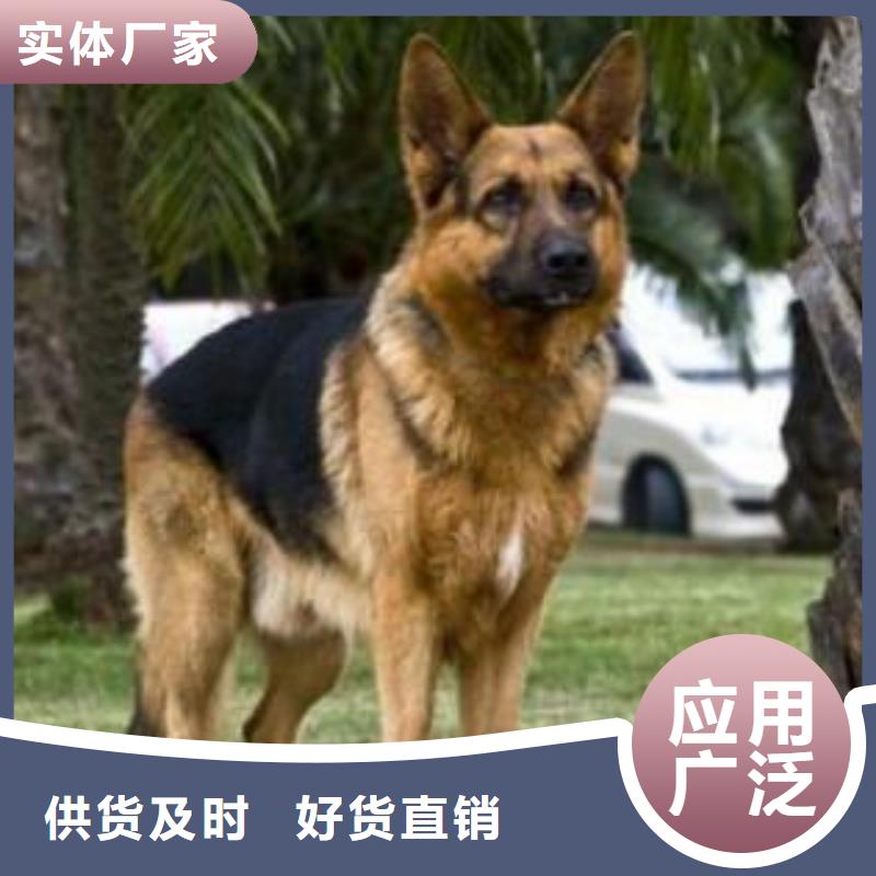 德国牧羊犬罗威纳犬量少也做