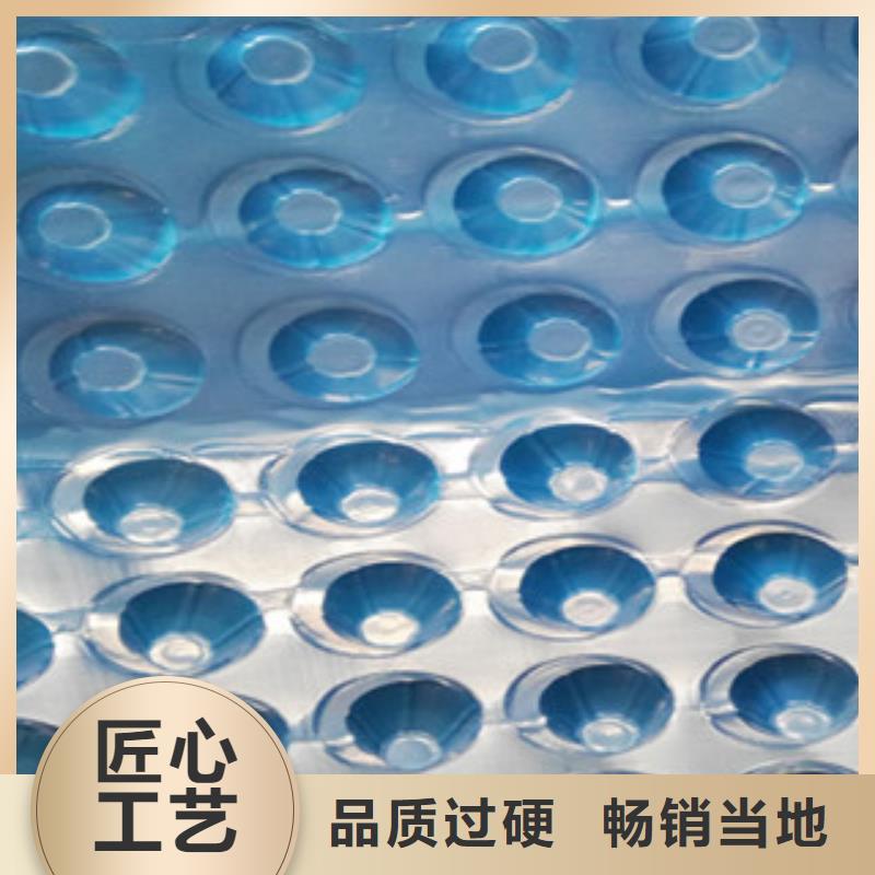塑料排水板,土工膜厂家品质优选