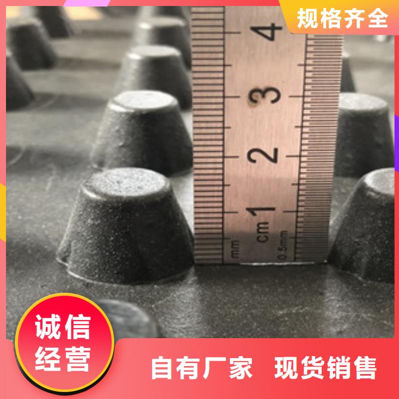 排水板【膨润土防水毯厂家】省心又省钱