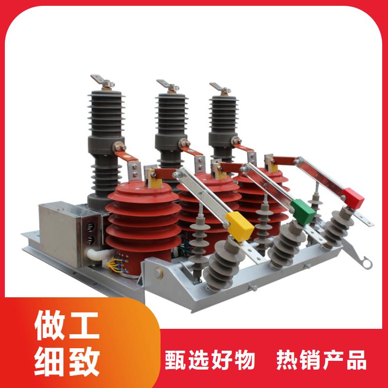 商丘ZWM9-12/630永磁断路器真空断路器质量保证