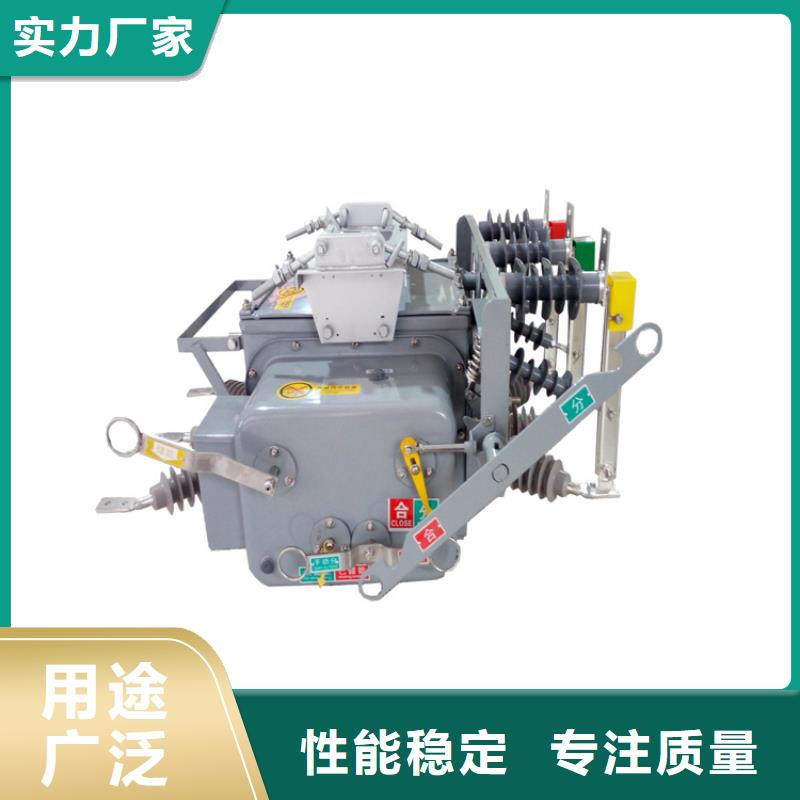 汕头20KV柱上真空断路器用心制作