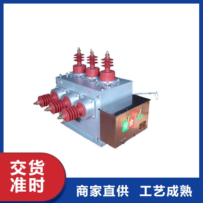 汕头20KV柱上真空断路器用心制作