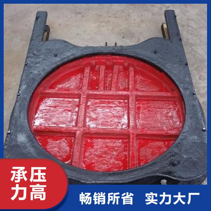 亳州灌区平面铸铁闸门性能可靠