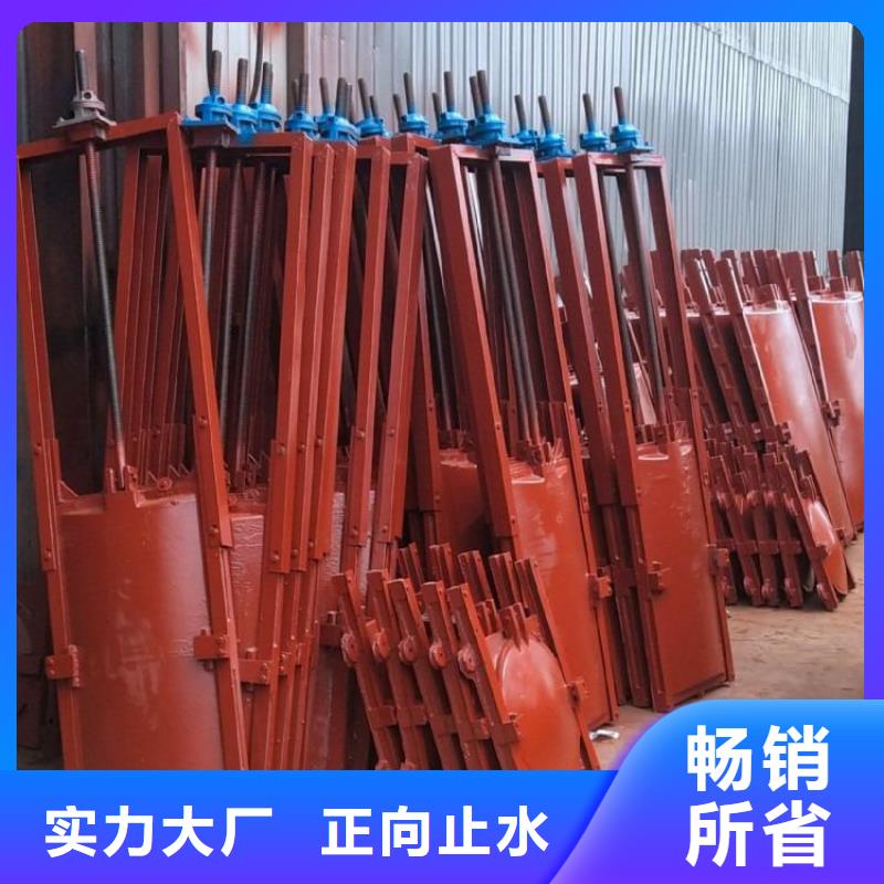 亳州灌区平面铸铁闸门性能可靠