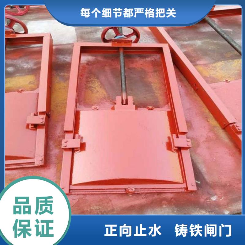 陕西PZ机闸一体式铸铁闸门价格合理水电站水渠铸铁闸门创新设计