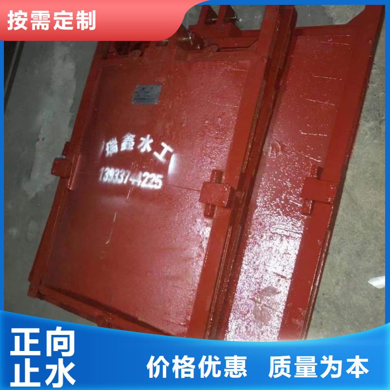 怒江水利水电暗杆式铸铁镶铜闸门全国施工