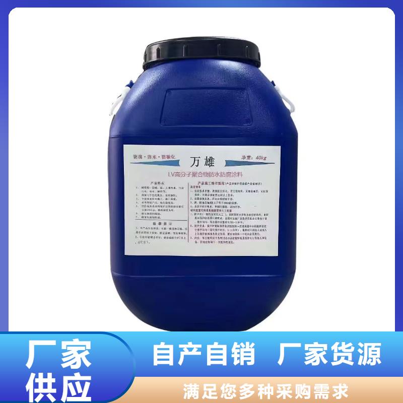 弹性高分子聚合物防水防腐涂料满足客户需求专业