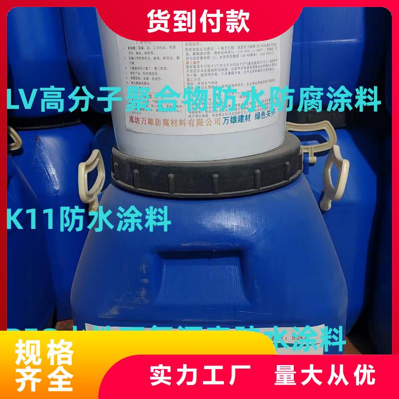 SKF合成高分子防水涂料耐根穿刺诚信经营量大从优氯丁胶乳沥青防水涂料