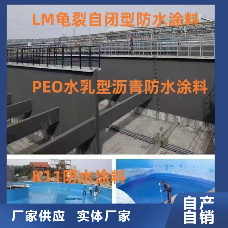 PEO水性聚氨酯防腐涂料大厂生产品质供应TNR-合成高分子防水涂膜